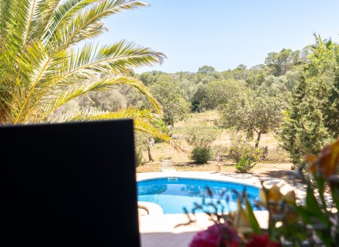 Wunderschöner Blick vom Arbeitsbereich auf den grünen Garten und den Pool