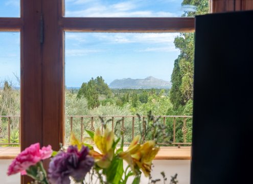 Blick vom Arbeitsplatz auf die Natur und die Berge von Pollensa